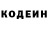 ГАШ VHQ Erwin Throttle