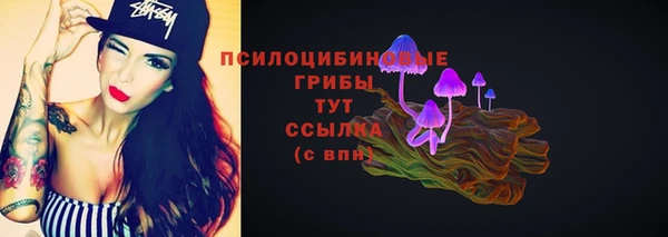 MDMA Богородицк